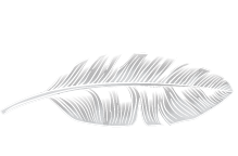 Taksu Connections Logo